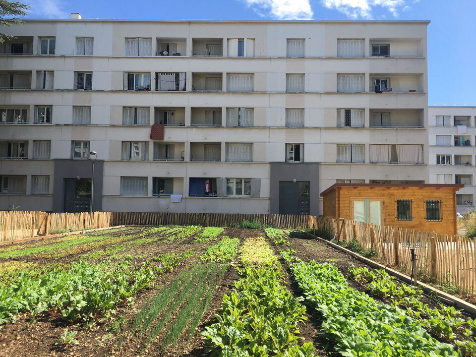 Le 8e cèdre, espace solidaire d’agriculture urbaine