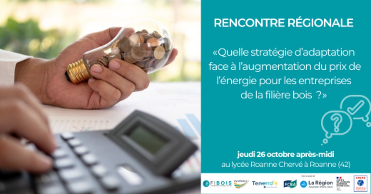 Rencontre Régionale : Stratégie d'adaptation des entreprises au coût de l'énergie - jeudi 26 octobre au Lycée Roanne Chevré (42)