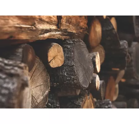 Forézienne MFLS. Un modèle de services affûté pour les métiers du bois