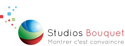 FICHE PARCOURS : SFI et Les Studios Bouquet 