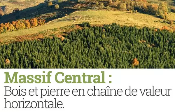 Massif Central : Bois et pierre en chaîne de valeur horizontale.
