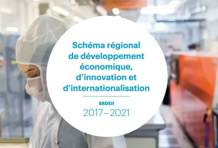 Schéma régional de développement économique, d'innovation et d'internationalisation 2017-2021 (SRDEII)