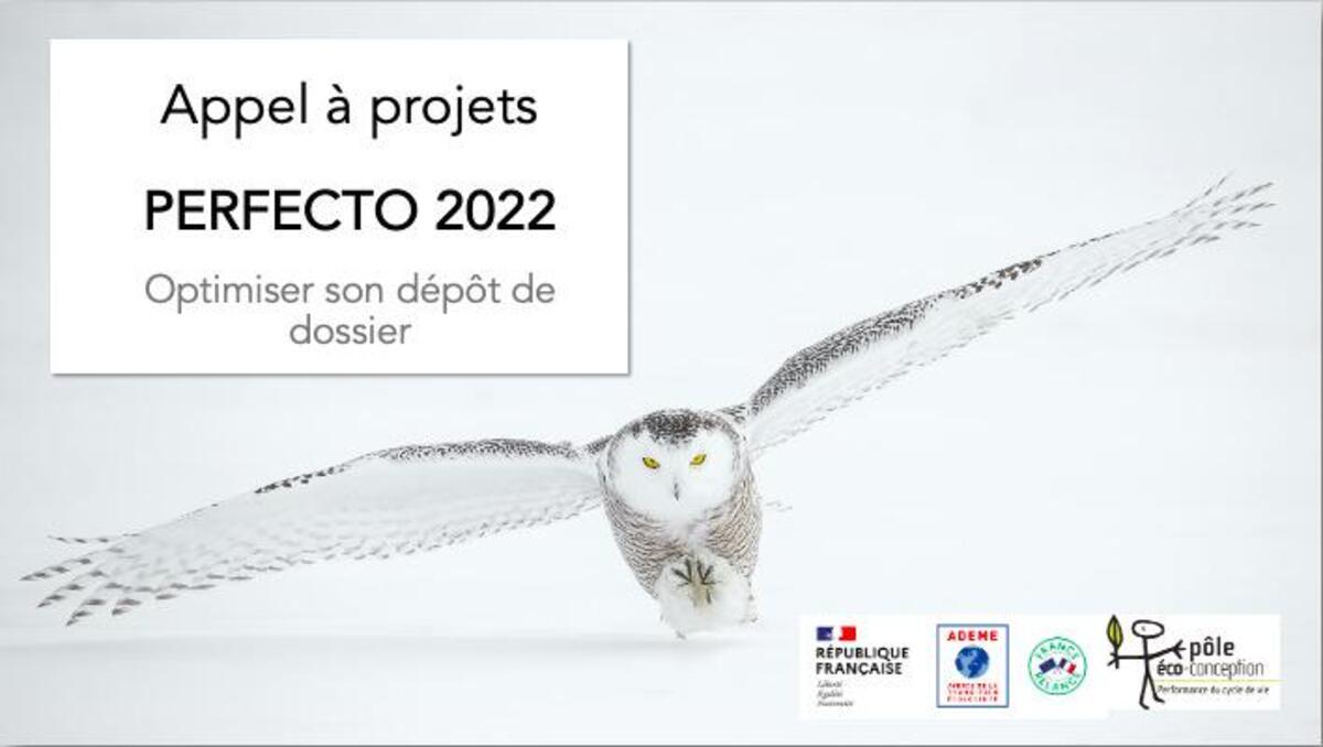 Webinaire PERFECTO 2022 : Optimiser son dépôt de dossier pour l'appel à projets