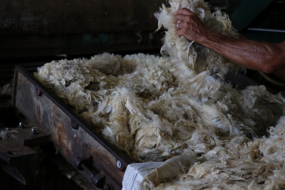 Vous souhaitez découvrir comment valoriser au mieux votre laine...