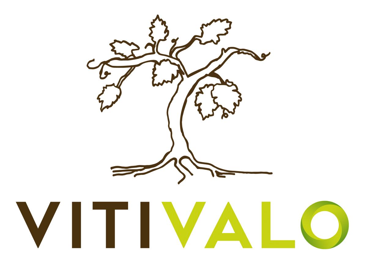 Vitivalo, un projet de recherche fédérateur en réponse à une problématique du territoire !